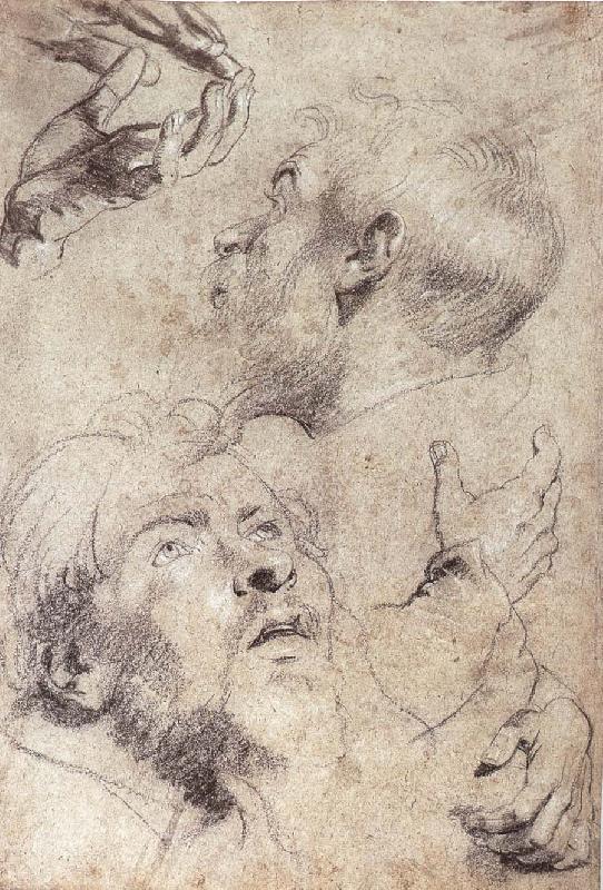 Peter Paul Rubens Four hand and two man-s head portrait France oil painting art